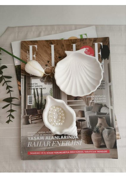 Luxury Dekoratif 2'li Set Deniz Kabuğu Takı Tabağı Organizer Tabak 1 Adet