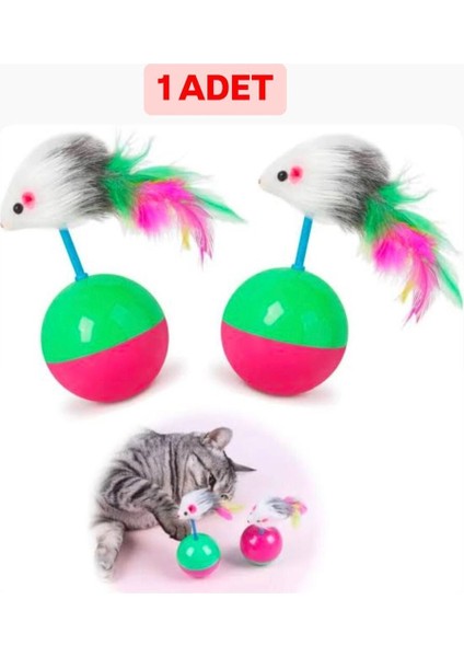 Luxury Kedi Oyuncak Seti 11 Parça 1 Adet