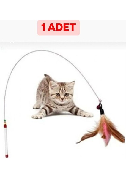 Luxury Kedi Oyuncak Seti 11 Parça 1 Adet
