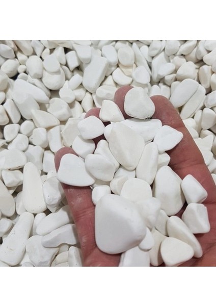Luxury Dolomit Taş 15 kg 1-2 cm Dere Taşı Çakıl Taşı Dolamit Taş Dekoratif Taş 1 Adet