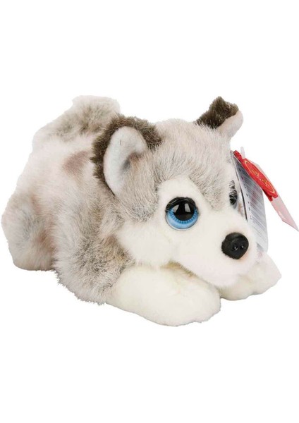 Luxury Husky Köpek Peluş 25 cm 1 Adet
