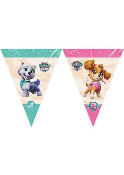 Paw Patrol Sky Temalı Bayrak Flama Asılabilir Doğum Günü Parti Süsü
