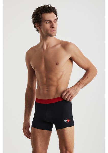 Rome Boxer