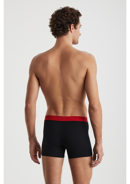 Rome Boxer