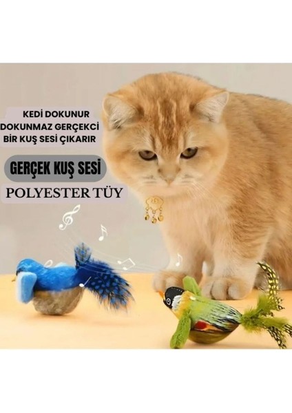 Luxury Gerçekçi Kuş Sesi ile Interaktif Peluş Kuş, Kedi Oyuncağı Tüylü Ipli Kedi Oyuncakları 1 Adet