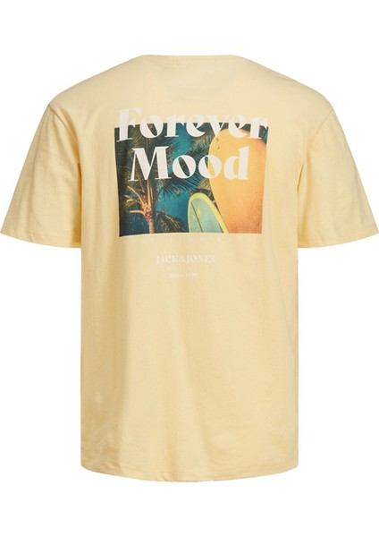 JORPOOLBOY TEE SS CREW NE Sarı Erkek Kısa Kol T-Shirt indirimleri