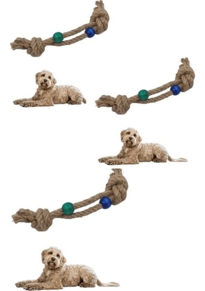 Luxury Diş Kaşıma Ipi Köpek Oyuncağı Diş Güçlendirme Temizleme Ipi Köpek Oyun Halatı ( Lisinya ) 1 Adet modelleri
