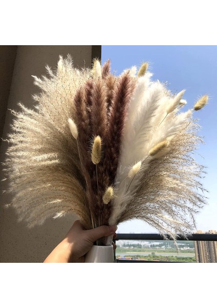 110 Adet Kurutulmuş Pampas Otu Dekoru, Kabarık Sap Buketi (17,5 Inç) (Yurt Dışından) fiyatları