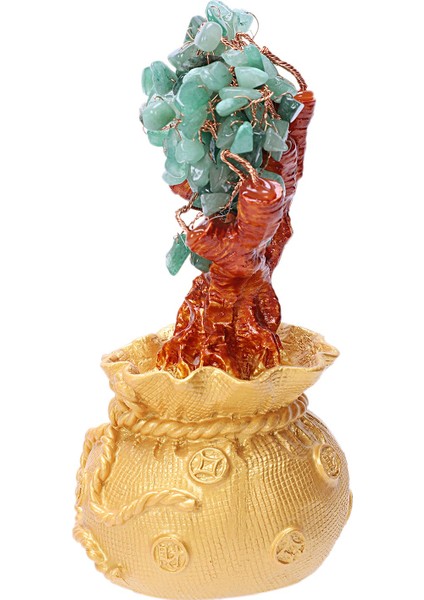 6.7 Inç Para Ağacı Bonsai Tarzı Feng Shui Zenginlik Şans Getir Yeşil (Yurt Dışından)