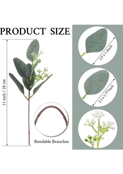 Okaliptüs Yaprakları Sapları Okaliptüs Yaprakları Yapay Gümüş Dolar (Yurt Dışından) modelleri
