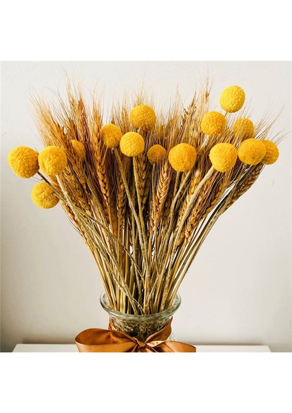 100 Adet Kurutulmuş Buğday Sapı ve 15 Sap Sarı Billy Balls Düğmeleri (Yurt Dışından) fırsatları