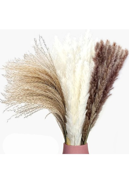 Doğal Pampas Otu Kurutulmuş Çiçekler Dekor 65 Parça 45 cm Kabarık (Yurt Dışından)