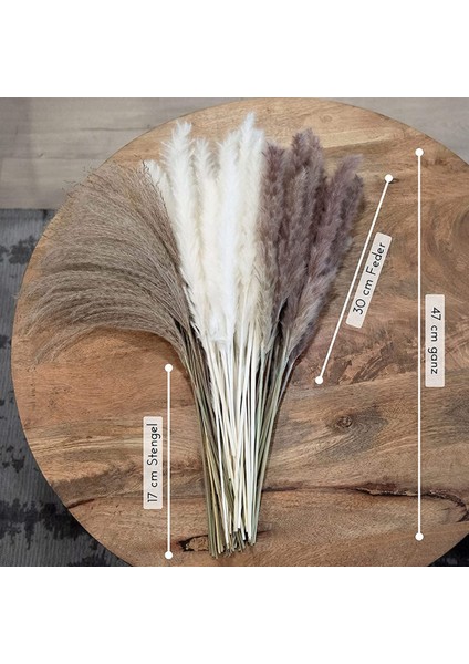 Doğal Pampas Otu Kurutulmuş Çiçekler Dekor 65 Parça 45 cm Kabarık (Yurt Dışından) fiyatları