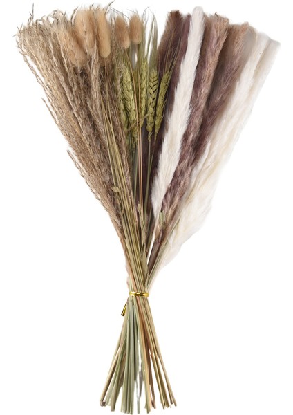 40 Adet 45 cm Doğal Kurutulmuş Beyaz Tavşan Tozu Pampas Çimi Bitki Dekoru (Yurt Dışından)