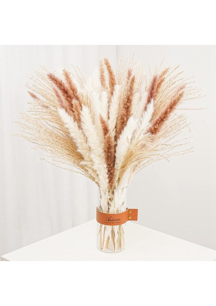 60 Adet Doğal Kurutulmuş Pampas Otu, Boho Düzenlemeler Için Pampas (Yurt Dışından) fiyatları