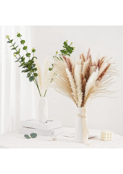 60 Adet Doğal Kurutulmuş Pampas Otu, Boho Düzenlemeler Için Pampas (Yurt Dışından) fırsatları