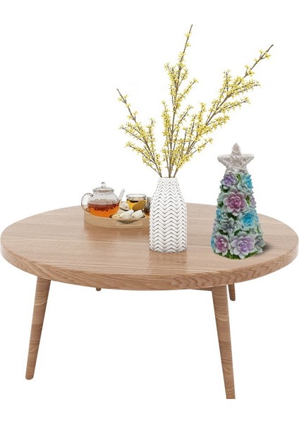 Etli Noel Ağacı Masaüstü Mini Dekorasyon Etli Reçine Küçük (Yurt Dışından) modelleri