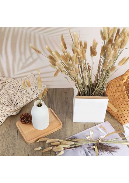 120 Adet Boho Ev Düğün Partisi Dekoru Kurutulmuş Çiçek Düzenlemeleri Çim (Yurt Dışından)