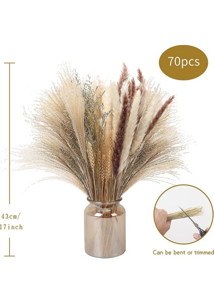 70 Adet Doğal Pampas Otu Dekoru, 17 Inç Kurutulmuş Pampas Otu Dekoru (Yurt Dışından) fırsatları