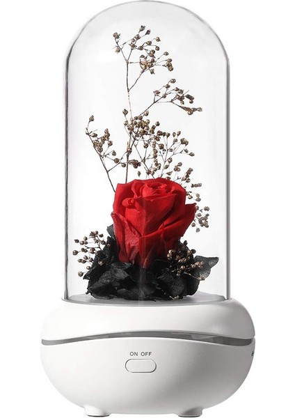 Renk Değiştiren Işıklı Gül Lambası Aromaterapi Makinesi (Kırmızı) (Yurt Dışından)