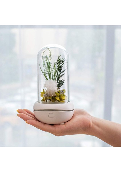 Renk Değiştiren Işıklı Gül Lambası Aromaterapi Makinesi (Kırmızı) (Yurt Dışından) fırsatları