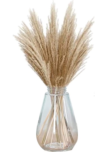 Kurutulmuş Pampas Otu, Çiçek Düzenlemeleri, Düğün, Ofis, Ev Dekorasyonu Için (Yurt Dışından)