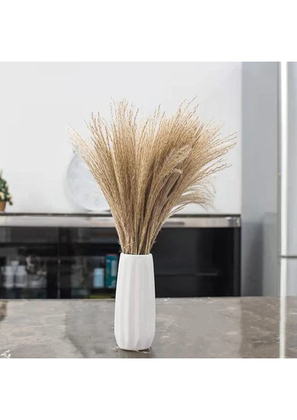 Kurutulmuş Pampas Otu, Çiçek Düzenlemeleri, Düğün, Ofis, Ev Dekorasyonu Için (Yurt Dışından) modelleri