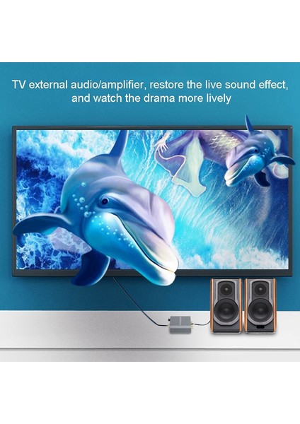 Dijitalden Analoga Ses Dönüştürücü 192KHZ Ses Kod Çözücü Ab Fişi (Yurt Dışından) modelleri