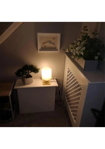 Vitray Daldaki Kuşlar Süslemeleri Duvar Süsleri Gökkuşağı Kuşu, C (Yurt Dışından) fırsatları