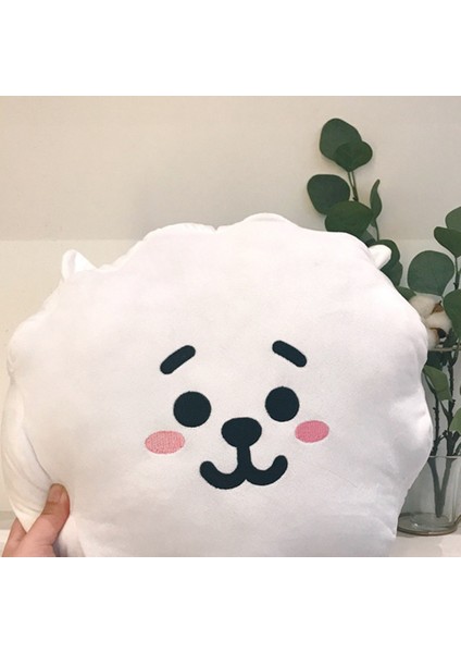 30CM Kpop Bts Bangtan BT21 Yastık Bebek Yastık Peluş Oyuncak,g (Yurt Dışından) indirimleri