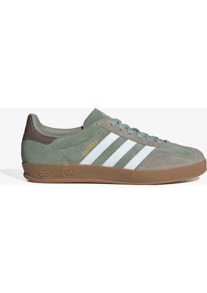 Gazelle Indoor.-