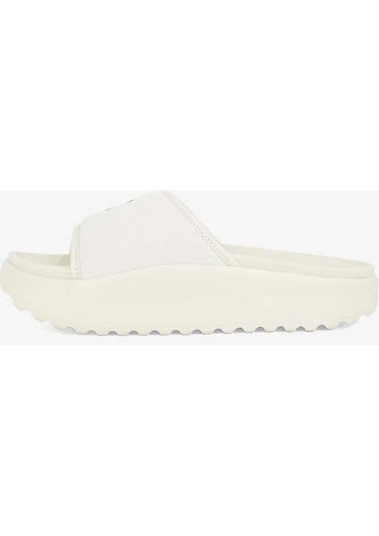 Comfy Pool.acg