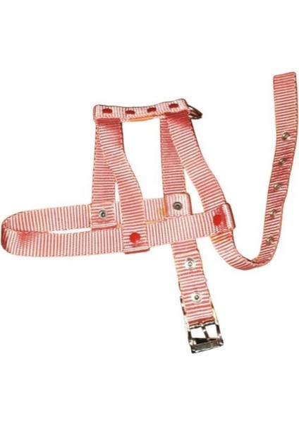Luxury Ayarlanır Köpek Göğüs Tasması 2cm 5-17 kg Aralığındaki Köpeklere Salmon 1 Adet