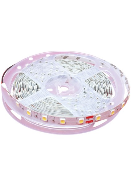 4040 3 Çipli 5 Metre Iç Mekan Şerit LED