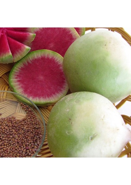 Turp Tohumu Çelebi Içi Kırmızı 5 gr 1 Adet