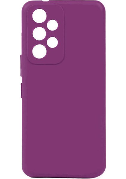 Galaxy A23 Kılıf Klcr Biye Silikon-Mor