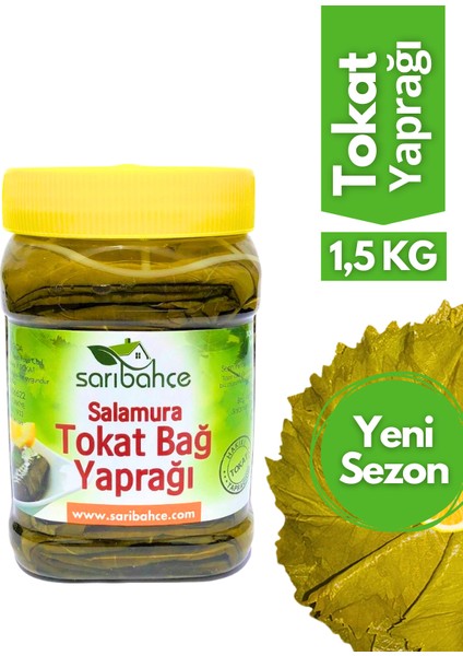 Tokat Asma Yaprağı 1,5 kg