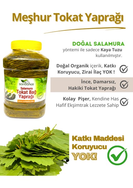Tokat Asma Yaprağı 5 kg