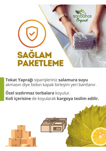 Tokat Asma Yaprağı 5 kg