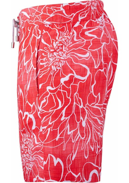 Sardinia Sort fiyatları