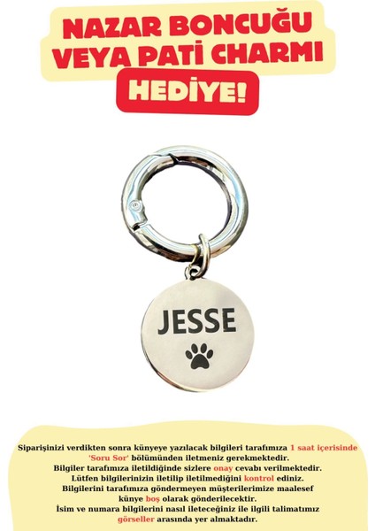 Luxury Isimli Çelik Kedi Köpek Künyesi ( Kendi Künyeni Tasarla ) 1 Adet