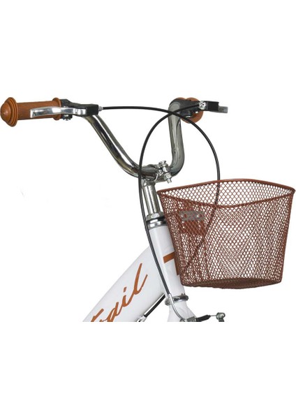 TR150 16 Jant Çocuk Bisikleti, 4-6 Yaş Bagajlı Çocuk Bisikleti fırsatları