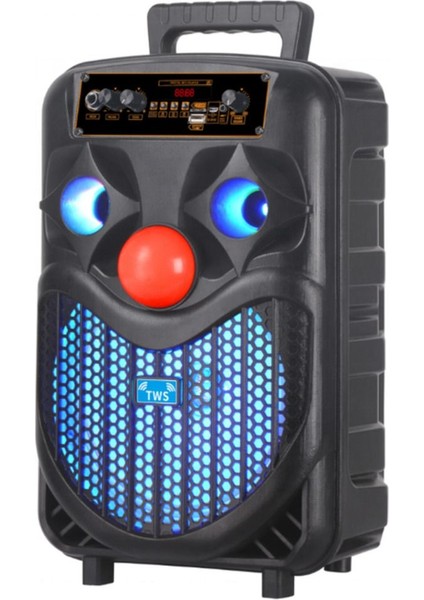 8'' Taşınabilir Bluetooth Yüksek Güçlü Karaoke Kablosuz Dj Bt Taşınabilir Ev Dış Mekan Ses Sistemi