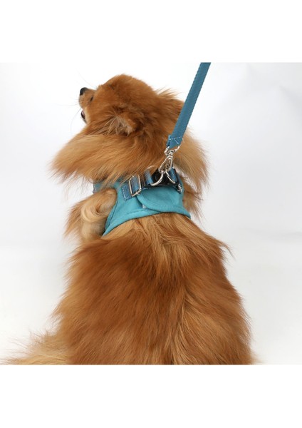 Luxury Köpek Göğüs Tasması Seti Kayış Yanında Gönderilir Köpek Gezdirme Tasması Köpek Tasması 1 Adet