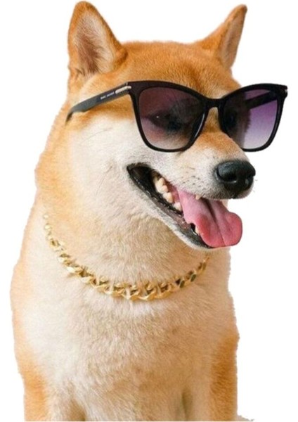 Luxury Kedi Köpek Gold Zincir Kolye S 35CM 2107ZKEYE 1 Adet fiyatları
