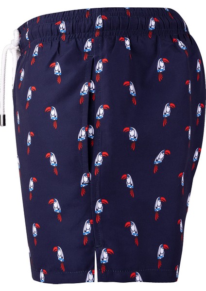 Parrot Sort fiyatları