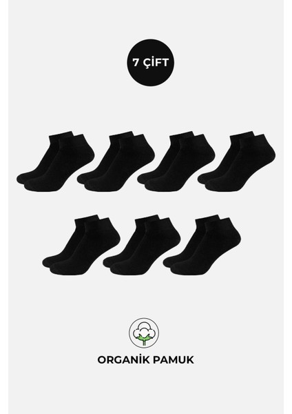 Organik Pamuklu Kadın Kutulu 7 Çift Siyah Patik Çorap fiyatları