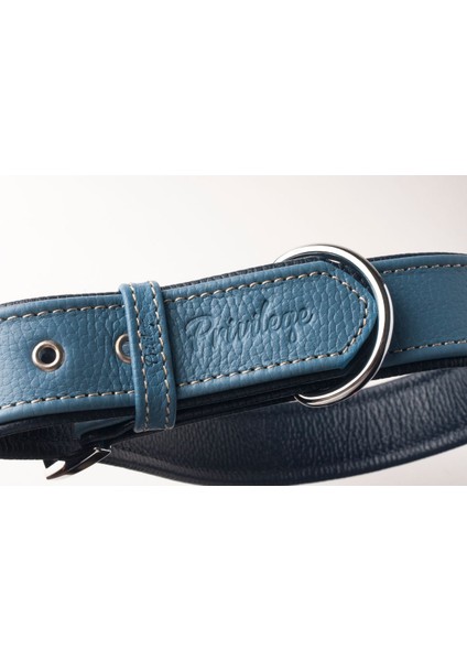 Luxury Flotter Hakiki Deri Köpek Boyun Tasması Xs Mavi Lacivert 2,5X29-37 cm 1 Adet