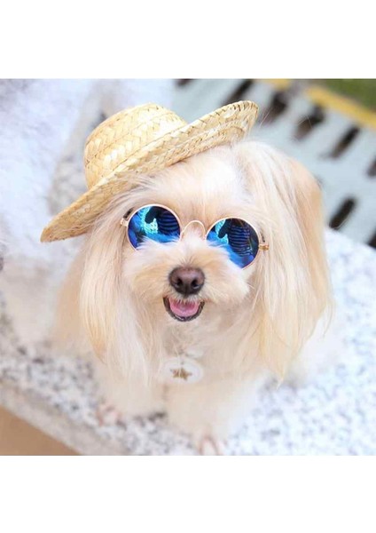 Luxury Hasır Süs Moda Pet Köpek Şapka 1 Adet