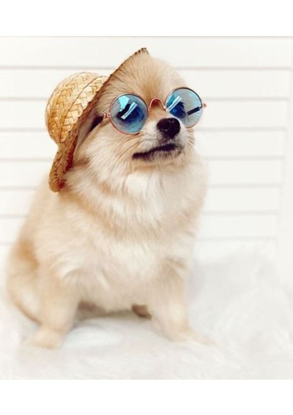 Luxury Hasır Süs Moda Pet Köpek Şapka 1 Adet